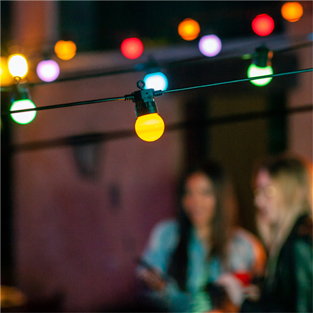Festoon Lights  20bulbs