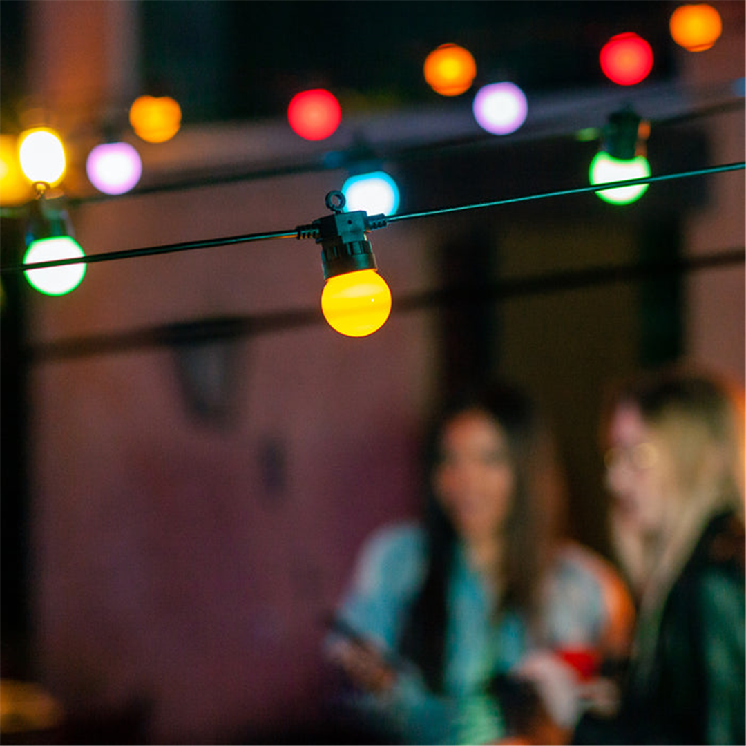 Festoon Lights 20bulbs