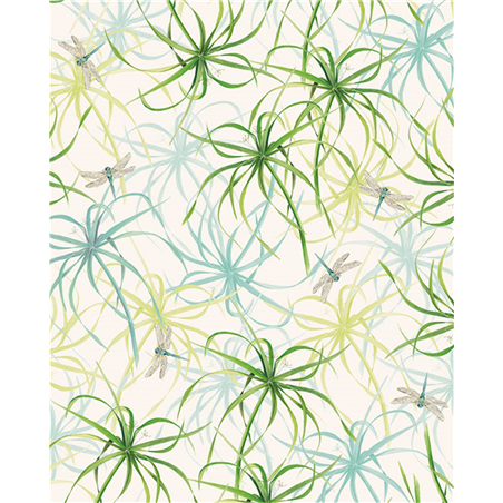 Carta Regalo 70x100  Papiro