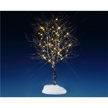 A102 Butternut Tree Clear Light