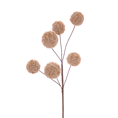 Ramo Champagne Balls Pick H50cm