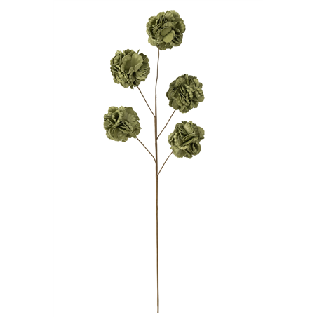 Ramo Fiore 5 Ponpom Eva Verde H86cm