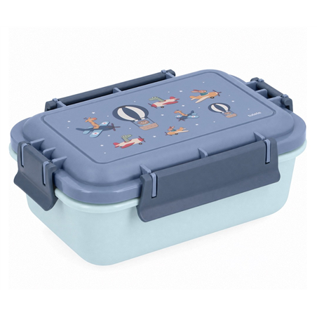 Bento Box 18x12x7cm 900ml 100%bpa Free Planes