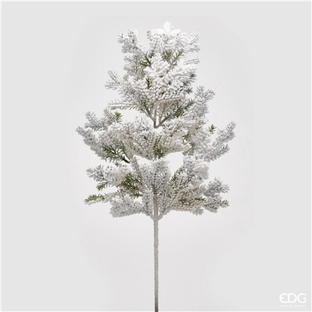 Ramo Pino Superneve H66cm