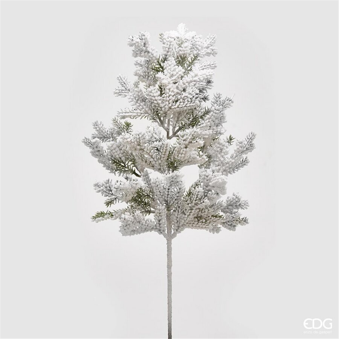 Ramo Pino Superneve H66cm