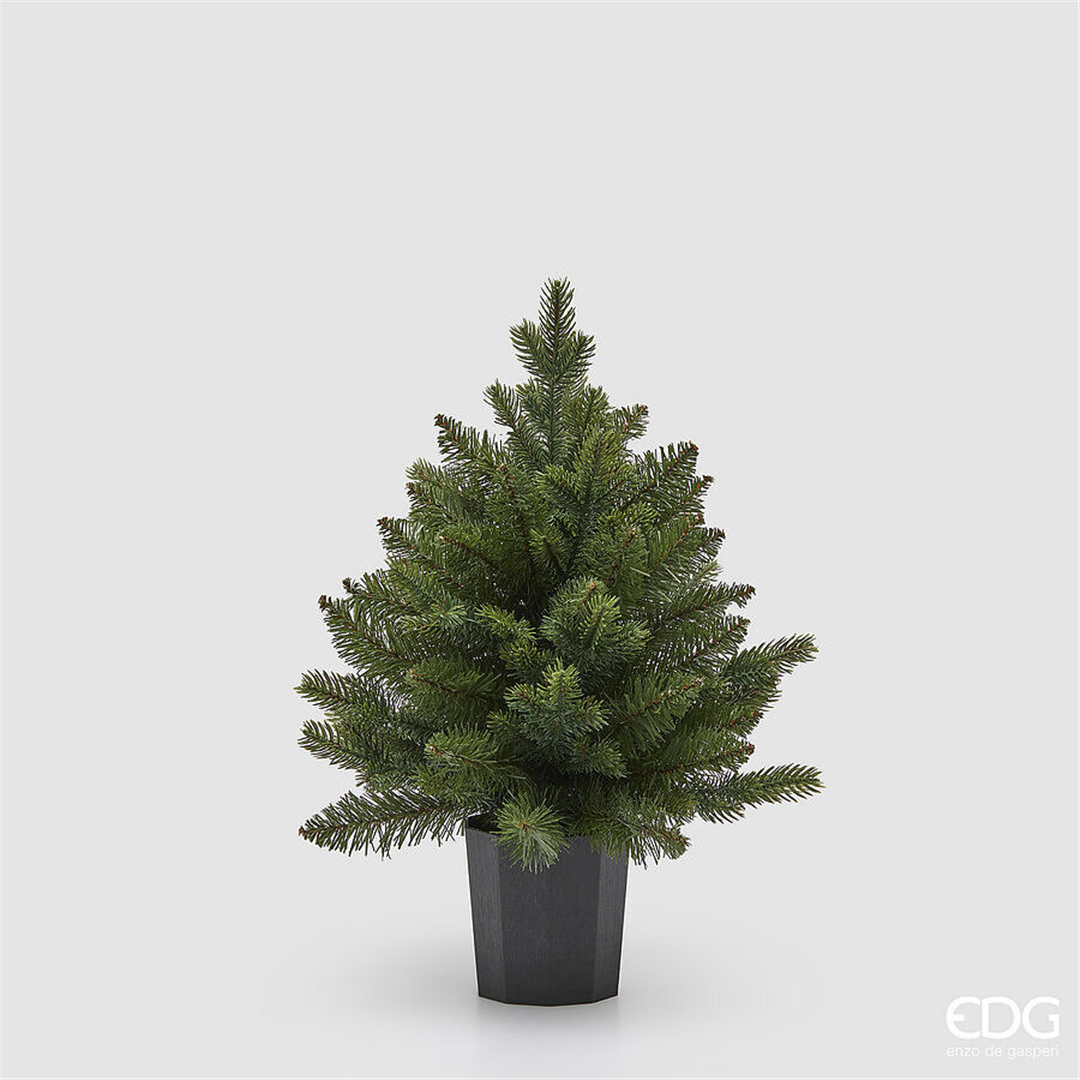 Albero Pino Argentato Con Vaso H45cm