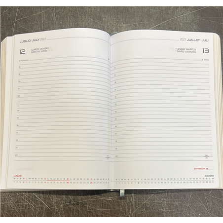 Ricambio Agenda 14,5x20,5 Gg Taglio Oro Cartonato