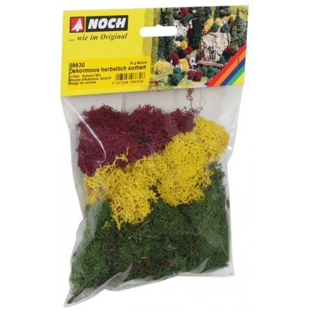 Busta Muschio 35 Gr. Muschio Autunnale