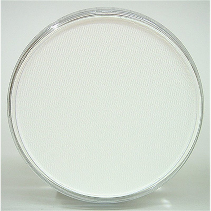 Panpastel Pastello Cipria Ml 9 21005-Bianco Titanio