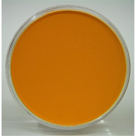 Panpastel Pastello Cipria Ml 9  22805-Arancio