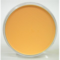 Panpastel Pastello Cipria Ml 9  22808-Arancio Tint