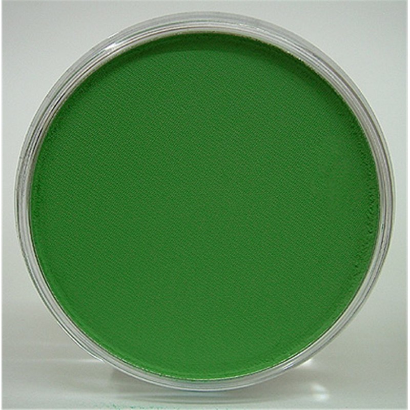 Panpastel Pastello Cipria Ml 9 26405-Verde Permanen