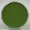 Pastel Powder 9 Ml 26605-Oxide Green | Panpastel