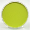Pastel Powder 9 Ml 26805-Yellow / Green | Panpastel