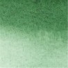 312-Verde Hooker Scuro Pennarello Per Acquarello Water Colour Marker | Winsor & Newton