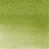 599-Green Bladder Water Color Marker | Winsor & Newton