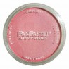 Pastel Powder Ml 9 Pearlescent 29535-Red | Panpastel