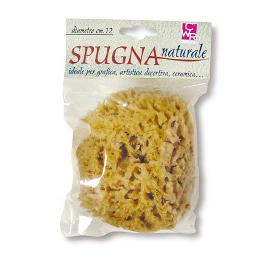 Spugna Naturale Cm.12 — immagine 2